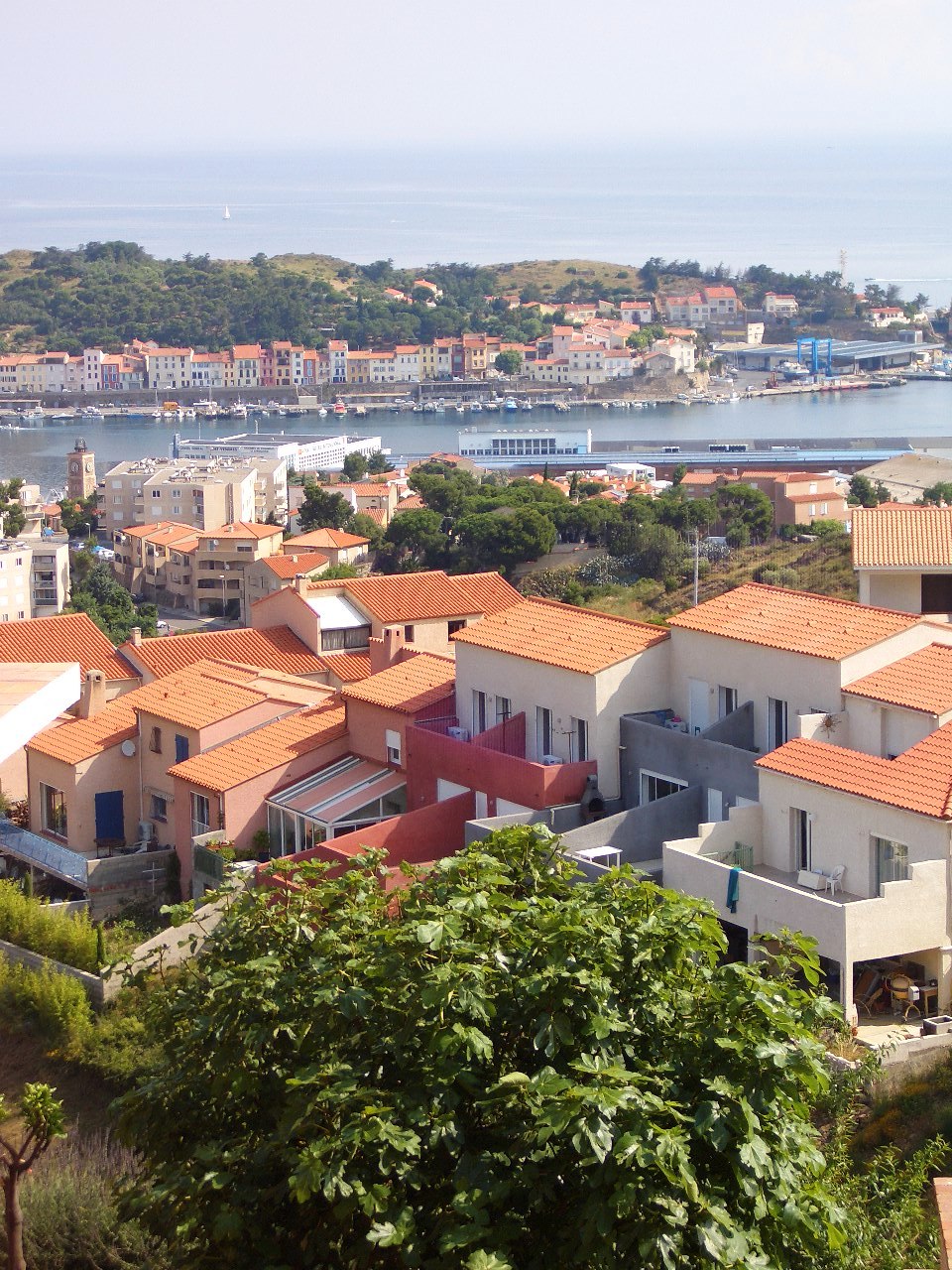 vente maisons Port Vendres, Centre ville, La Citre, Les Tamarins et plus